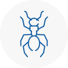 Ant Removals In West Hallam