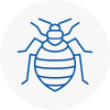 Bed Bug Extermination In West Hallam