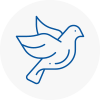 Bird Prevention West Hallam