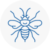 West Hallam Hornet Nest Removals